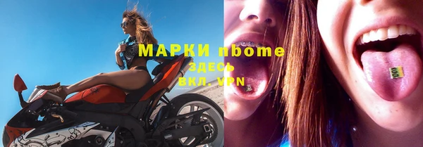 стаф Касимов
