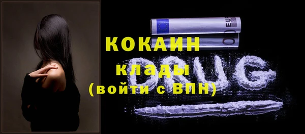 стаф Касимов