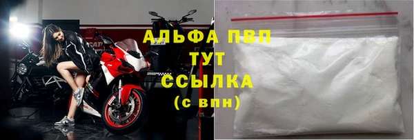 стаф Касимов