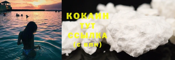 гашик Карталы