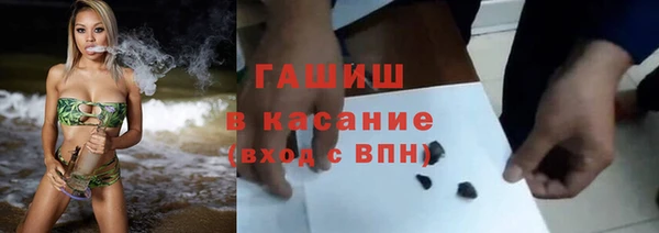 стаф Касимов