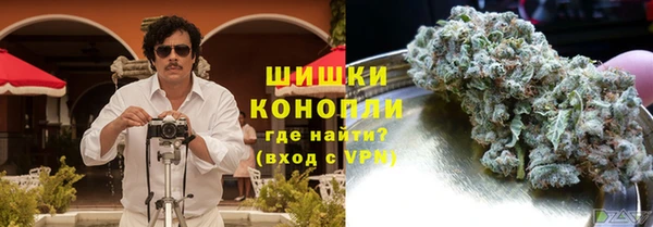 стаф Касимов
