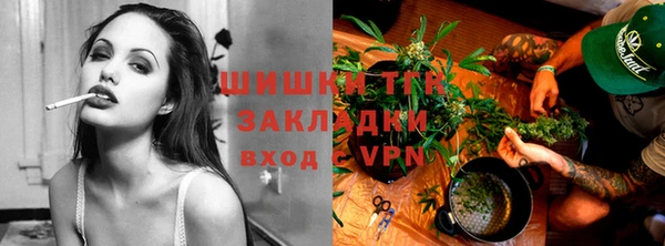 стаф Касимов